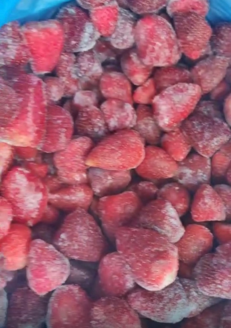 Venderé fresas congeladas de Egipto caja de 10 Kg Grado A gran cantidad