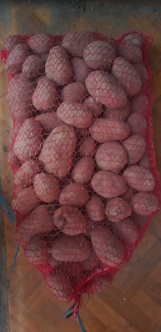 Venderé patatas comestibles de las siguientes variedades: Ignacy, Owacja, Tajfun, Ricarda