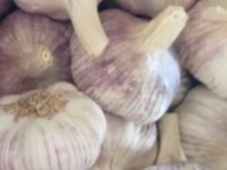 Hola, compraré ajo de primavera polaco en pequeñas cantidades.