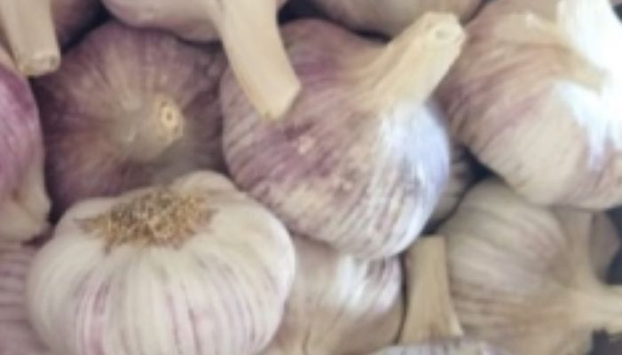 Hola, compraré ajo de primavera polaco en pequeñas cantidades