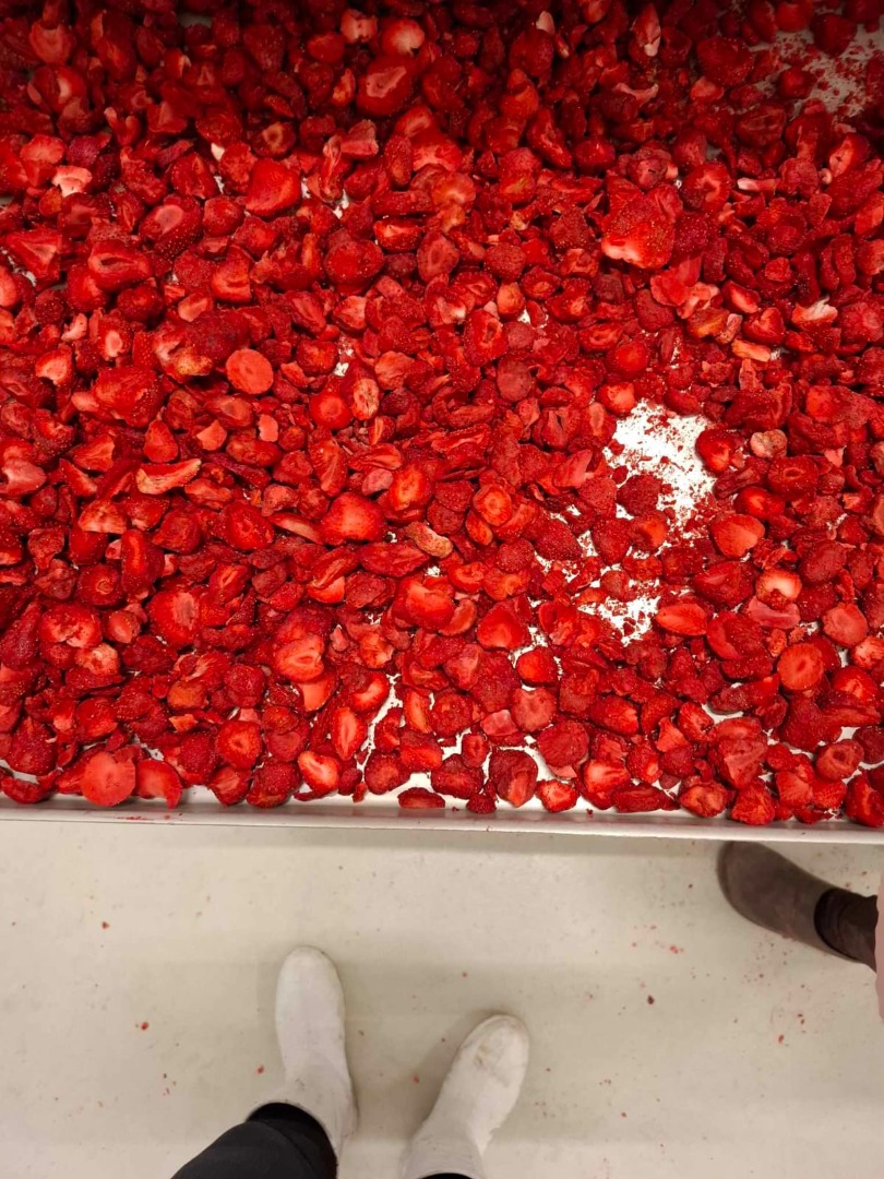 Estimados señores, Nos complace presentarles la oferta de nuestra empresa: Fruitful Investment, que es el mayor productor de alimentos liofilizados de Polonia
