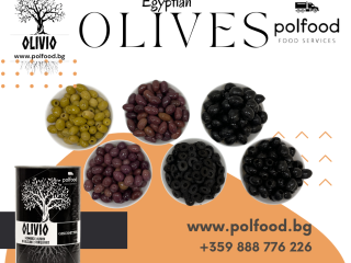Aceitunas de primera calidad: ¡Venta al por mayor en