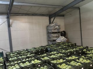 Vendo col blanca joven. Embalado en cajas de aprox.