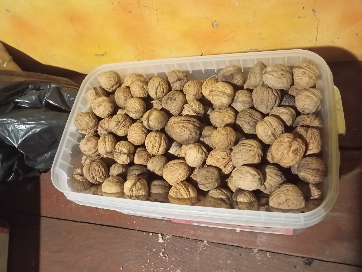 Vendo nueces ecológicas con cáscara, cantidad como en la foto, cuatro baldes de 10 litros
