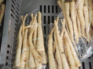 La raíz de perejil de primera calidad está disponible