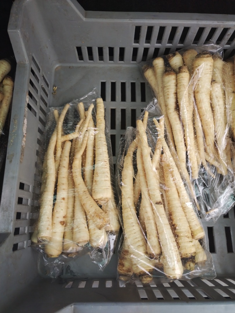 La raíz de perejil de primera calidad está disponible de forma continua, en paquetes de 10 kg