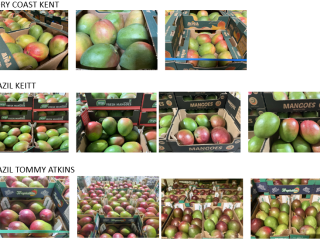 Mangos de Costa de Marfil, Brasil y Perú –