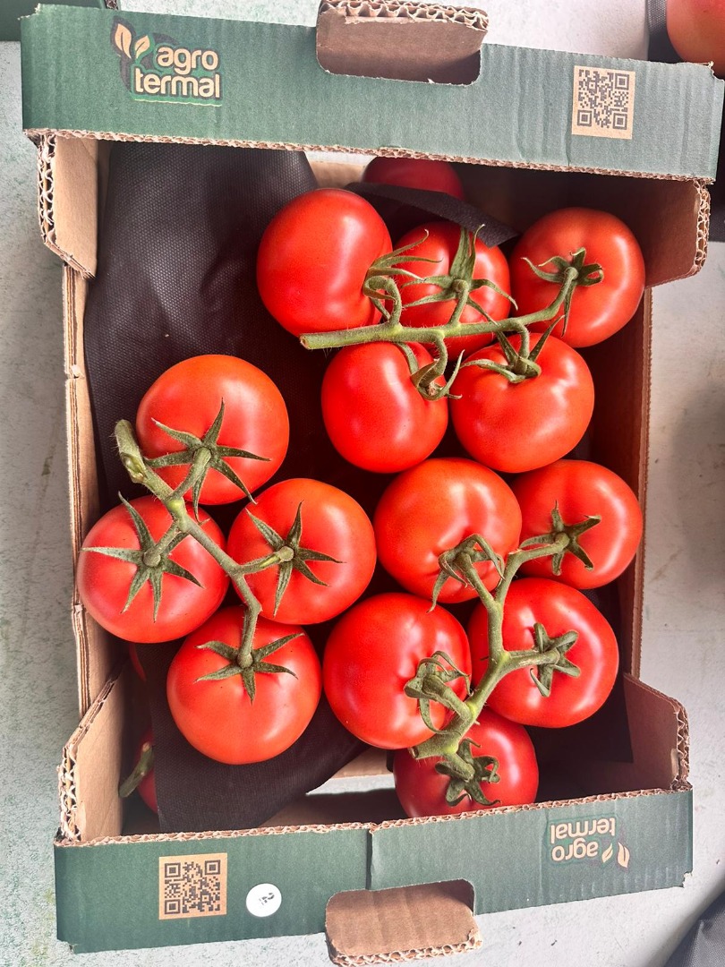 Hola, ofrecemos calidad y rendimiento constantes durante todo el año mediante modernas técnicas de cultivo hidropónico en Turquía