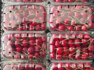 Cerezas dulces al por mayor de Uzbekistán, disponibles en