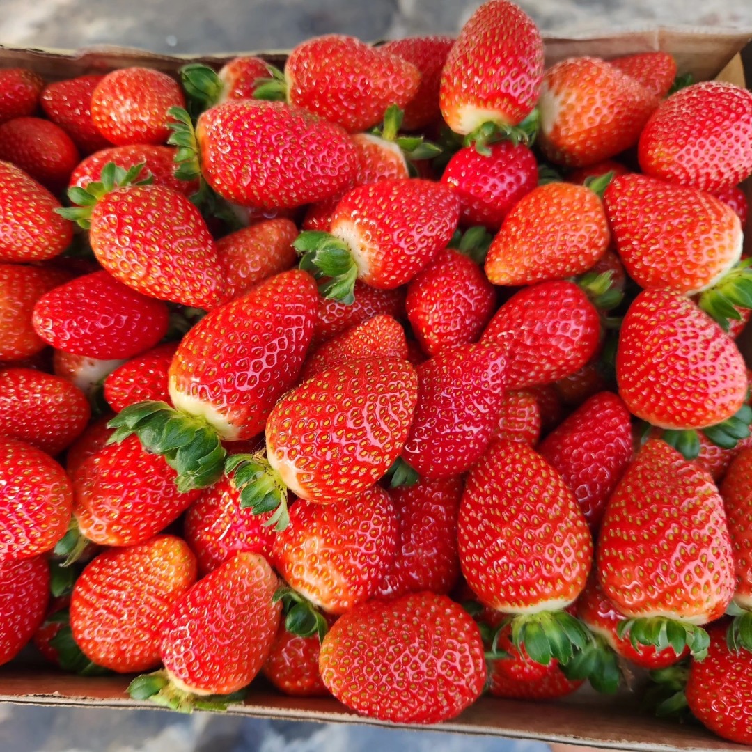 Hola vendo 3 camiones de fresas de origen español