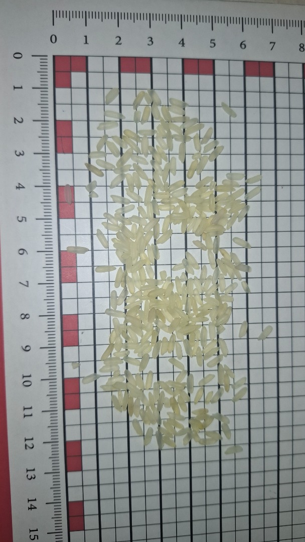 Venderé arroz parabola
