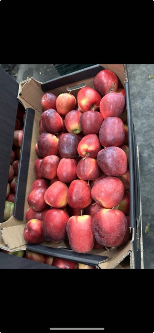 Hola, ofrecemos manzanas de Polonia envasadas en cajas de 13 kg, todas las variedades disponibles en el mercado en alta calidad, lo invitamos a cooperar +