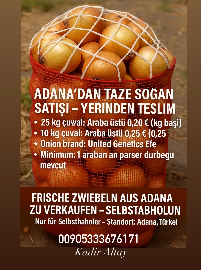 Vendemos cebollas frescas de Adana, Turquía para recoger en tienda