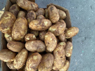 patatas frescas de Rumanía +[número de teléfono]