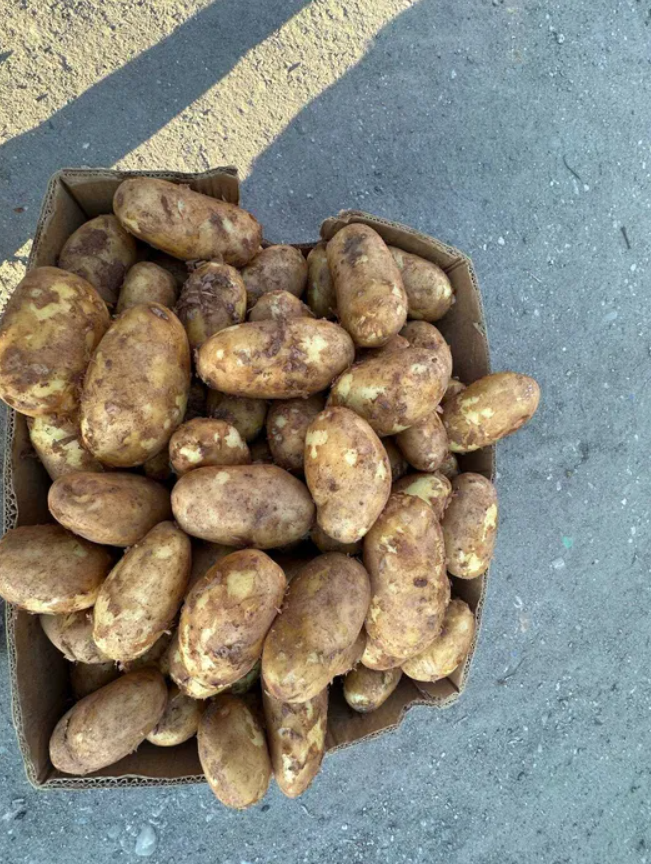patatas frescas de Rumanía +[número de teléfono]