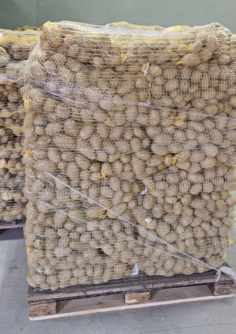 Ofrezco a la venta papas variedad Lilly, calibre 45+, sueltas o envasadas en bolsas de 15 kg, cantidades de camión