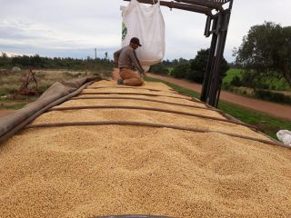 Mikirela es un punto de referencia en el comercio