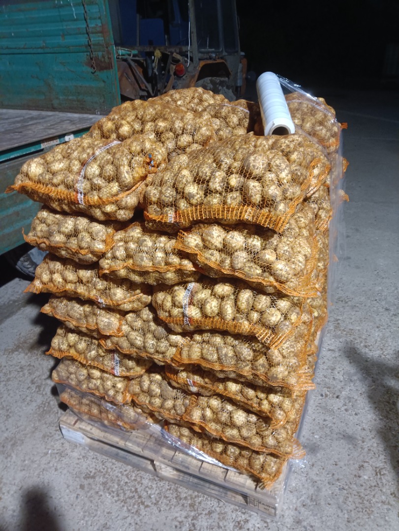 Vendo patatas jóvenes polacas