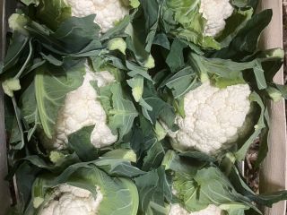 Hola, enviamos frutas y verduras frescas de Polonia a