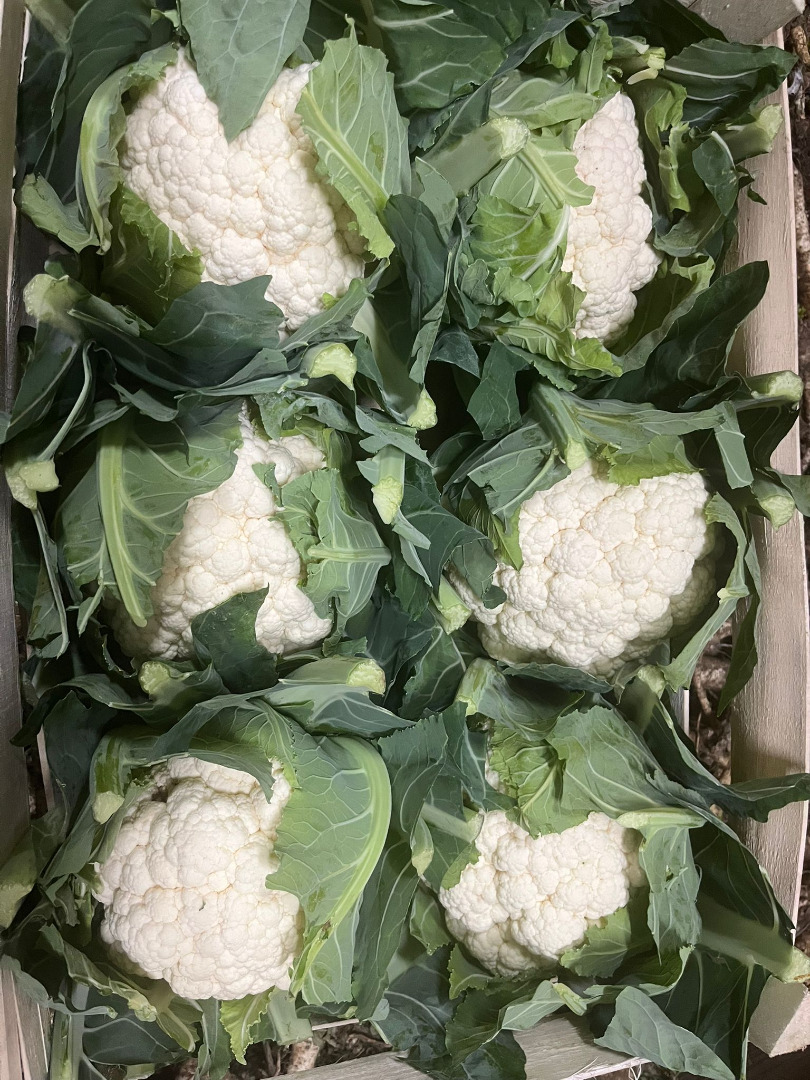 Hola, enviamos frutas y verduras frescas de Polonia a toda Hungría