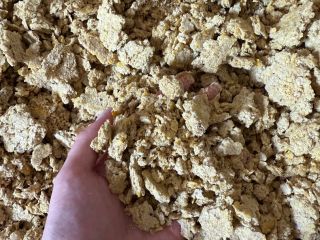 Torta de soja (OGM) en big bags – FCA.