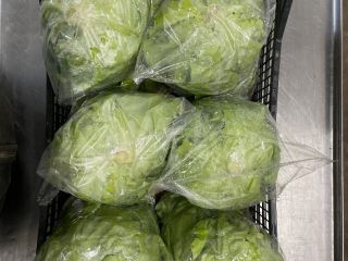 Lechuga mantecosa Rosso Bianco fresca, directamente del campo. Entrega