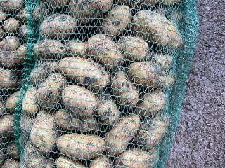 Vendo papas nuevas disponibles 10 toneladas