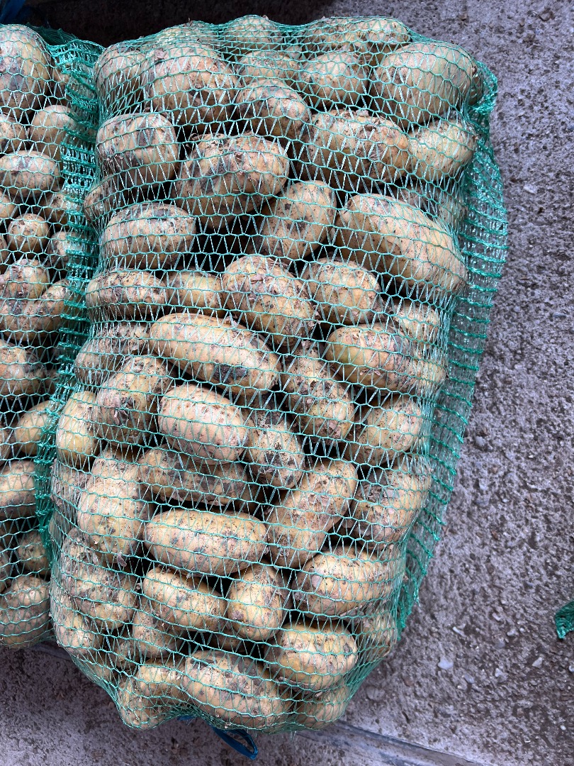 Vendo papas nuevas disponibles 10 toneladas