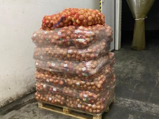 Vendemos cebollas al por mayor desde Ucrania. Excelente calidad,