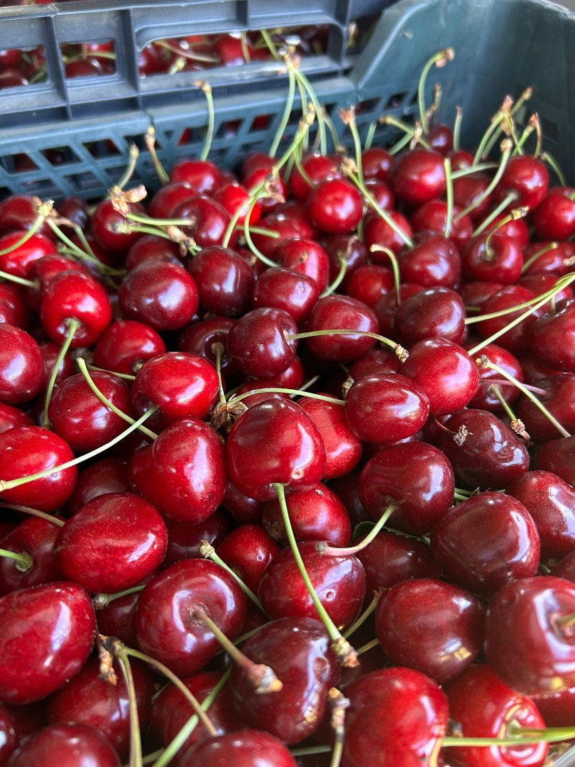 Vendo cerezas negras, 20 cajas de 5 kg cada una, cerezas polacas, grandes, muy sanas y dulces, no pulverizadas, orgánicas