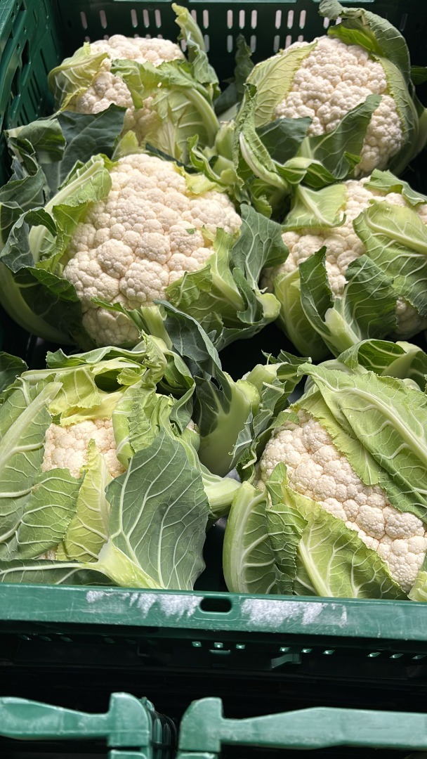 Se vende coliflor fresca, 6 unidades por caja