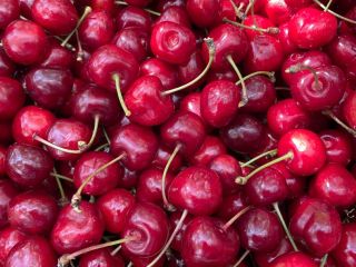 Hola, tengo una gran cantidad de cerezas a la