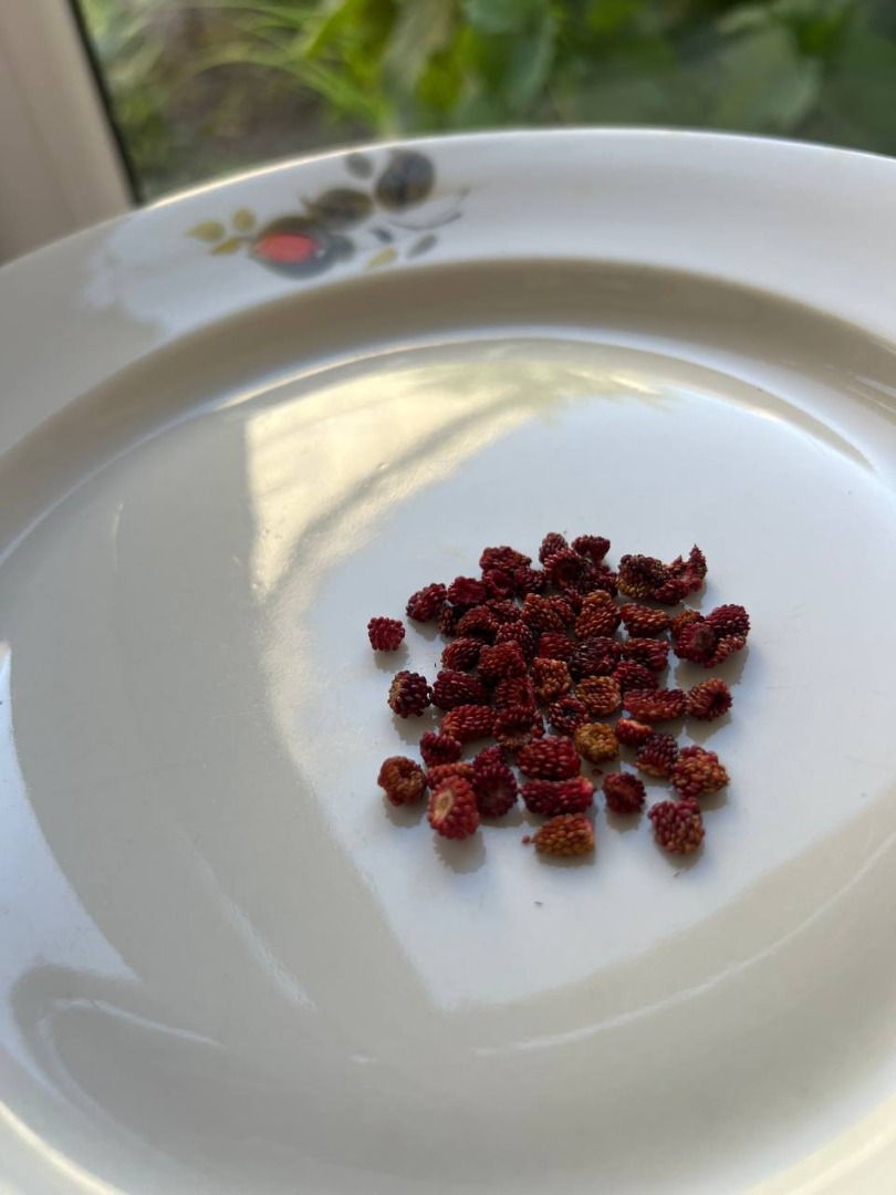 Fresas silvestres secas 100 gramos - 15e por favor escriba para precio