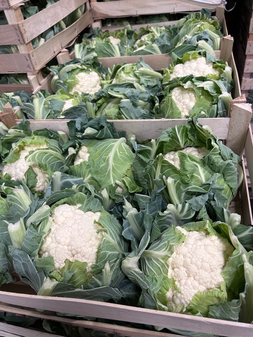 Estableceré cooperación con compradores de Rumania y Hungría