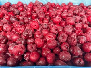 Patatas nuevas polacas: Riviera, calibre 5,5+, 15 kg netos