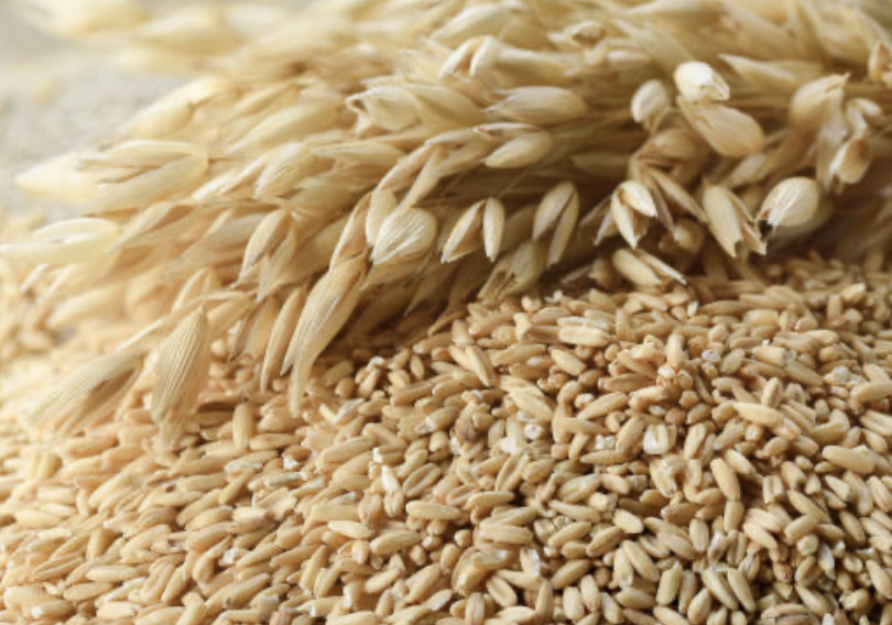 En esta ocasión, nuestro producto disponible para entrega inmediata consiste en 500 toneladas de avena