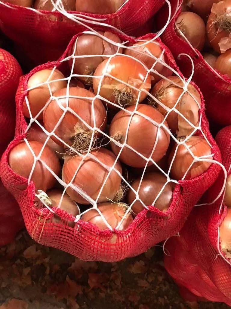 Cebolla amarilla, roja o blanca