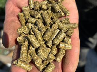 Los pellets de alfalfa son un alimento animal de
