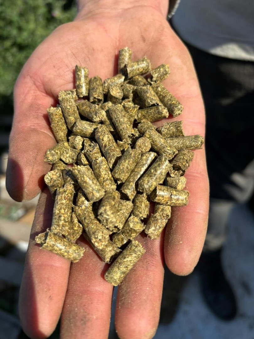 Los pellets de alfalfa son un alimento animal de alta calidad elaborado mediante el prensado de alfalfa seca