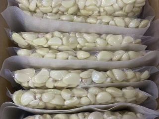 Somos proveedores de ajo fresco, ajo pelado, cebolla, chile
