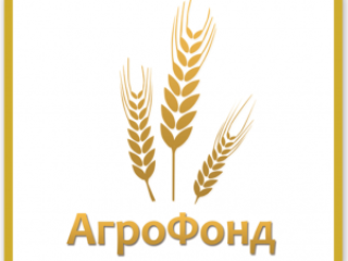 LLC “AGRO FOND” FCA 80-600 Brody, Ucrania Proteína de