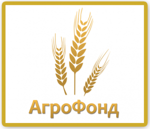 LLC “AGRO FOND” FCA 80-600 Brody, Ucrania Proteína de soja transgénica: 33 % Condiciones: • FCA: 380 USD/t a granel en tren; Big bag: 385 USD • Frontera DAP: