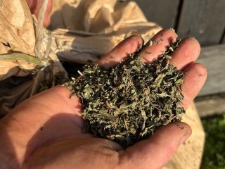 Vendo menta piperita seca y triturada. Precio negociable.