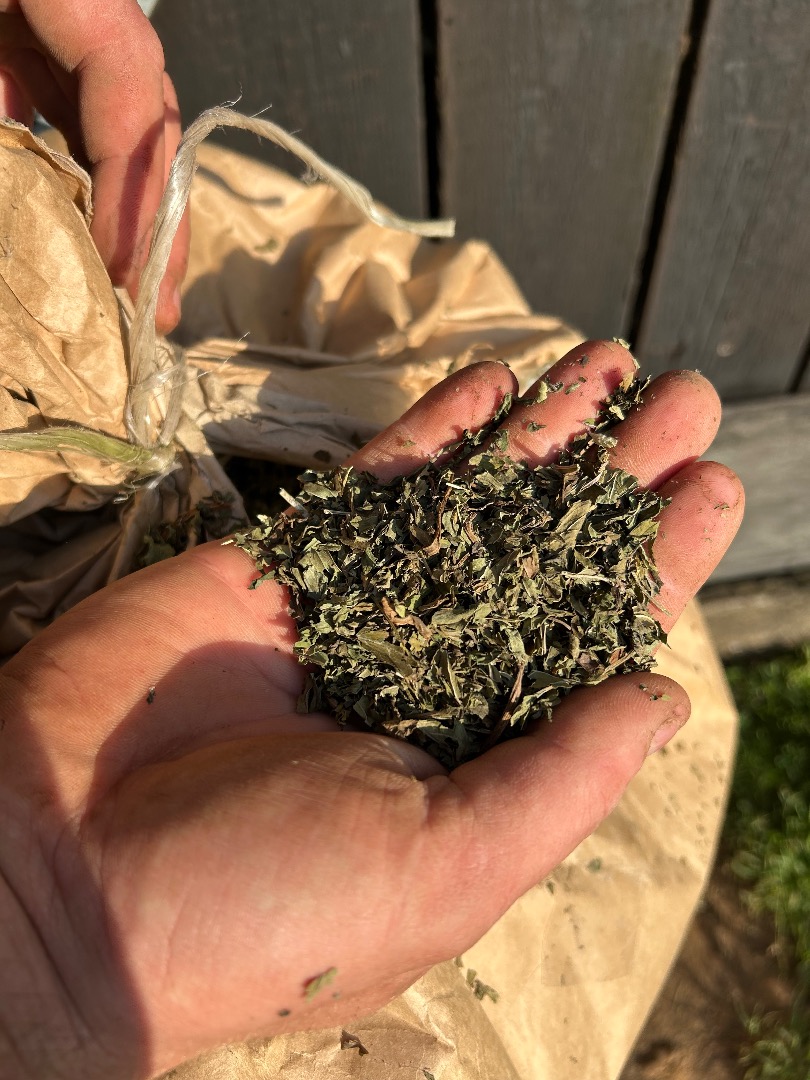 Vendo menta piperita seca y triturada