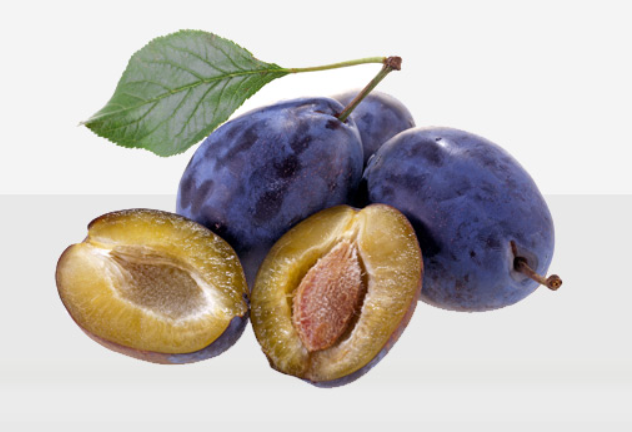 Buscamos comprar unas 500 toneladas de ciruelas pasas de la variedad Stanley en madurez técnica; grado Brix 14-18%; calibre 35 mm o más