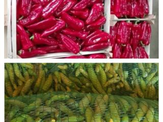 De agosto a octubre, ofrecemos pimiento rojo kapia para