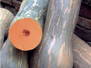 Calabazas certificadas