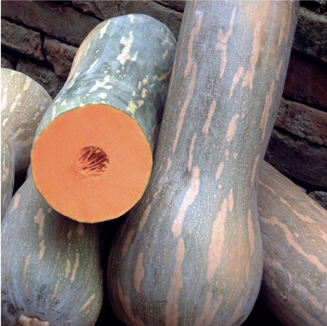 Calabazas certificadas