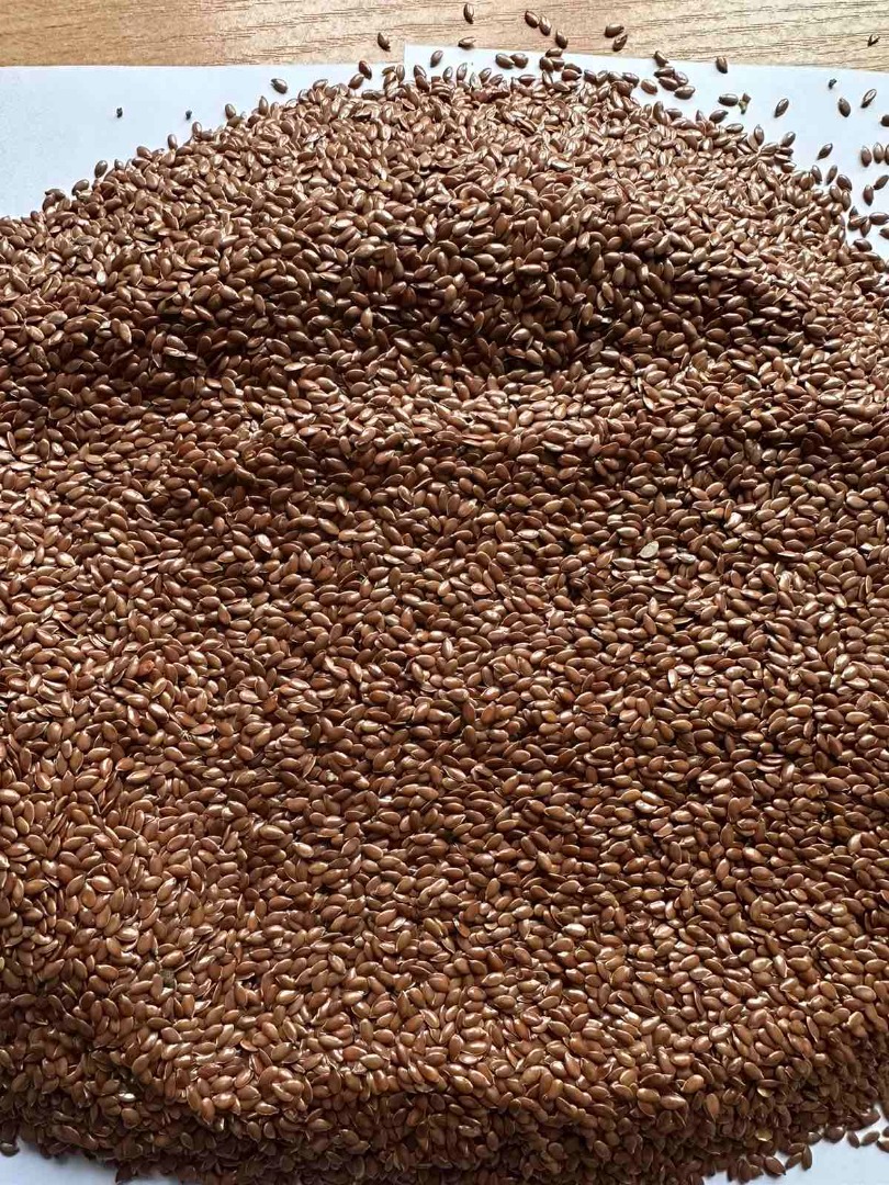 Vendemos aceite de lino cosechado en 2025