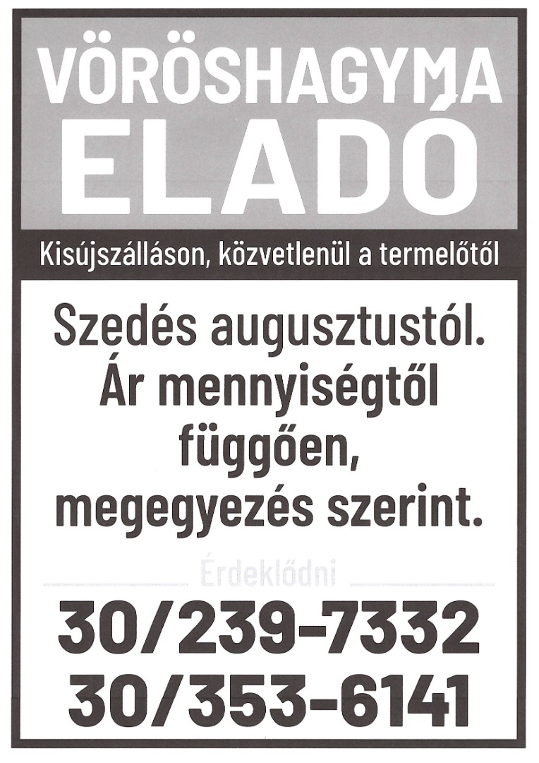 H: Cebollas rojas de temporada, recién recolectadas, a la venta, directamente del productor, en Kisújszállás, condado de Jász-Nagykun-Szolnok